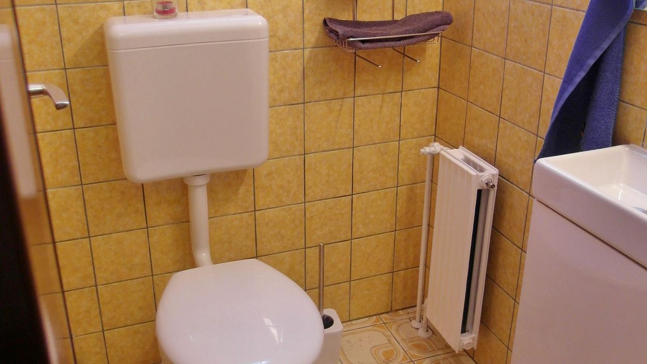 FeWo Bollmohr Gäste-WC FeWo Bollmohr Gäste-WC